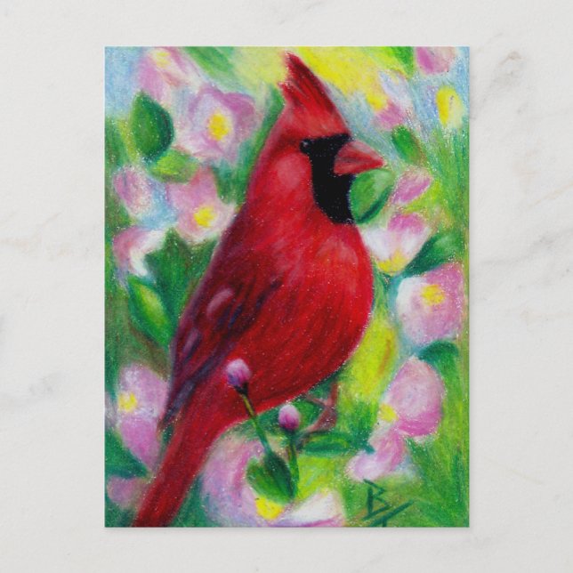 Carte Postale Cardinal Postcard (Devant)