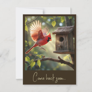 CARTE POSTALE " CARDINAL ROUGE "