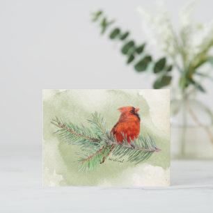 Carte Postale Cardinal Rouge Belle Aquarelle Rustique