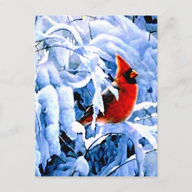 Carte Postale Cardinal Rouge dans la neige d'hiver (Devant)