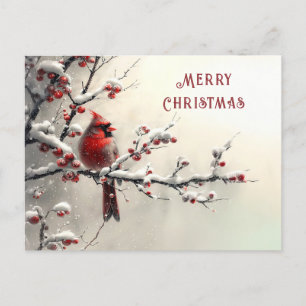 Carte Postale Cardinal Rouge de Noël Férié