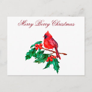 Carte Postale Cardinal rouge de Noël sur une branche de baie de