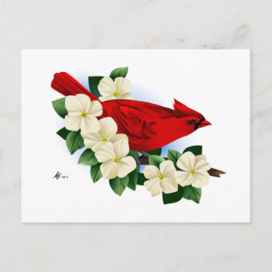 Carte Postale Cardinal rouge du Nord