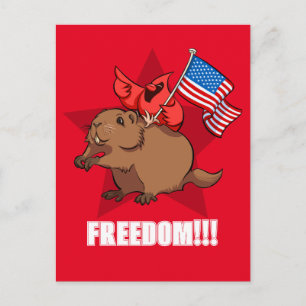 Carte Postale Cardinal rouge excentrique et marmotte Liberté ! D