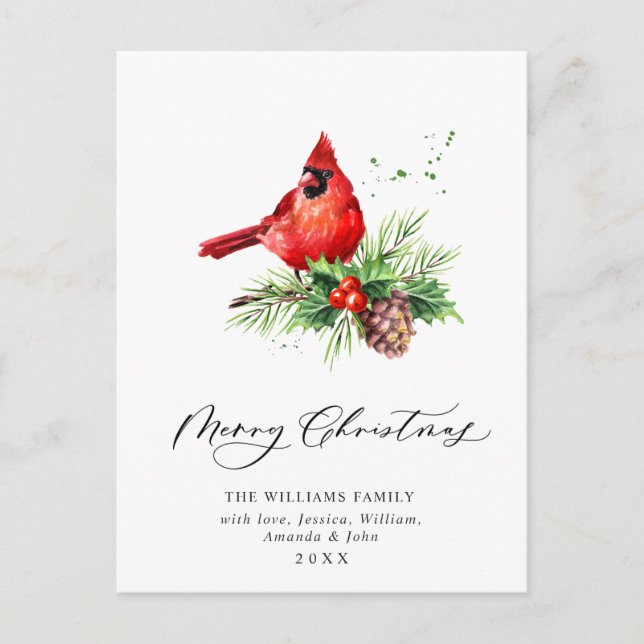 Carte Postale Cardinal Rouge Holly Berry Noël (Devant)