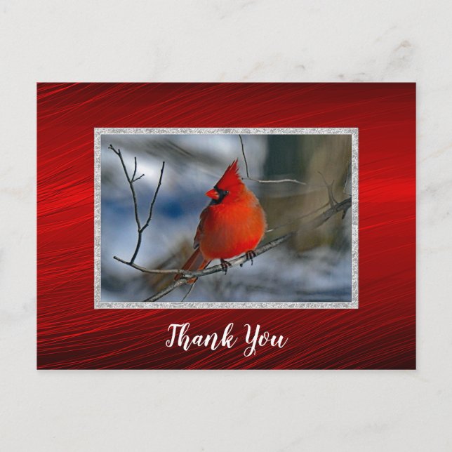 Carte Postale Cardinal Rouge Photo Merci Hiver (Devant)