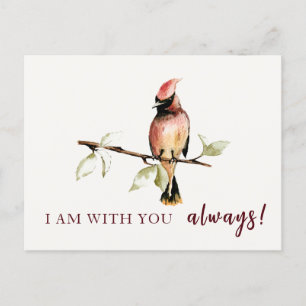 Carte Postale Cardinal rouge sentimental je suis toujours avec t