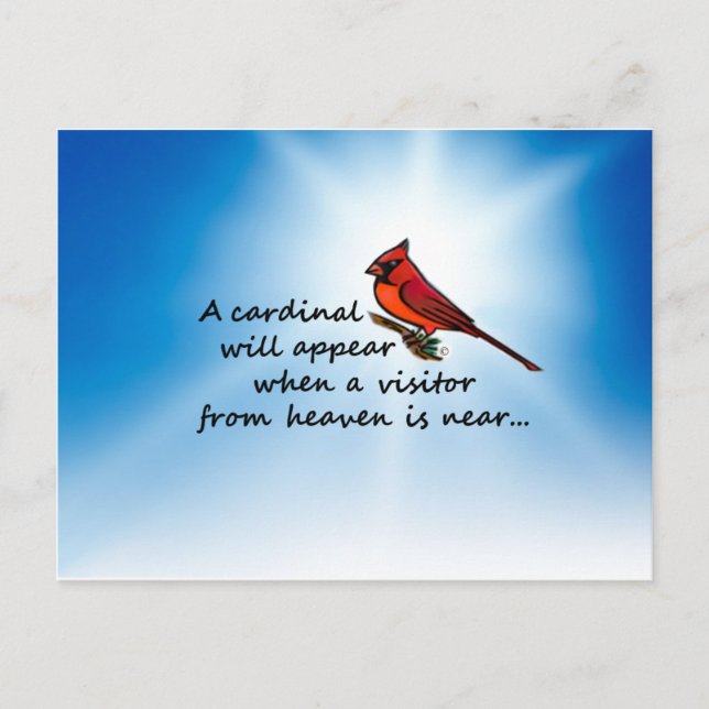 Carte Postale Cardinal, Visiteur du Ciel (Devant)