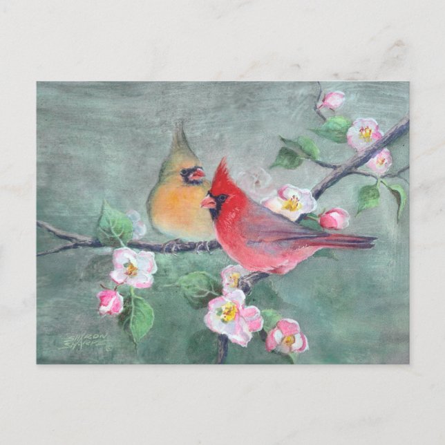 Carte Postale CARDINALS & APPLE BLOSSOMS par SHARON SHARPE (Devant)