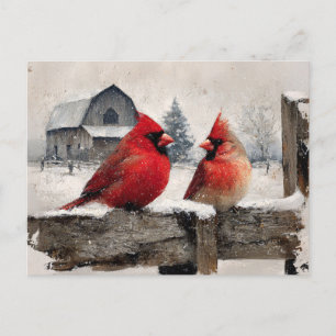 Carte Postale Cardinals Vintage Farm