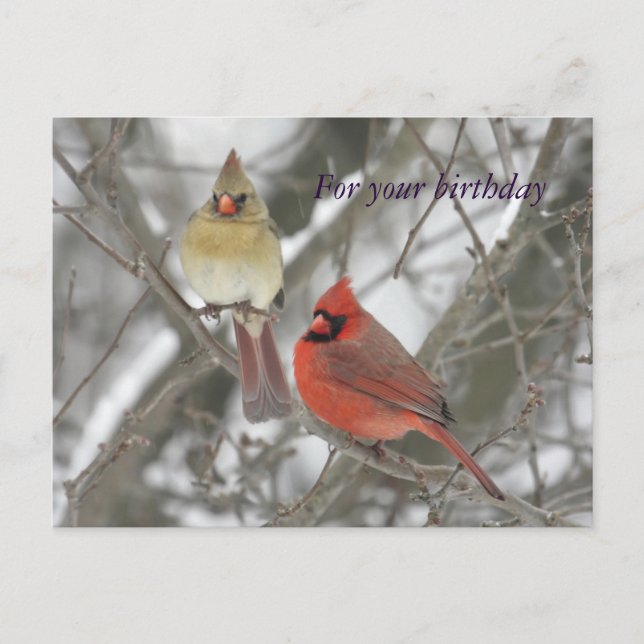 Carte Postale Cardinaux du Nord Salutations d'anniversaire (Devant)