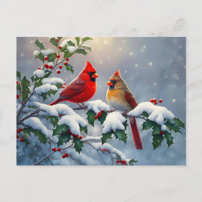 Carte Postale Cardinaux rouges et Holly en neige (Devant)