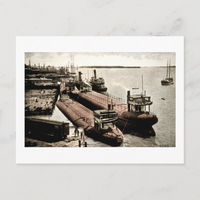 Carte Postale Cargos à dos de baleine à Belle Isle, Michigan (Devant)