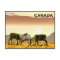 Caribou Duel - Canada