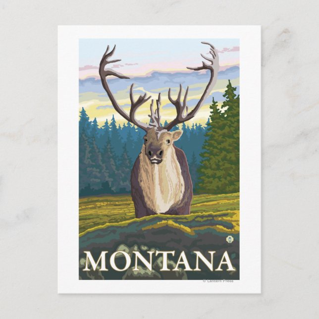Carte Postale Caribou en pleine nature - Montana (Devant)