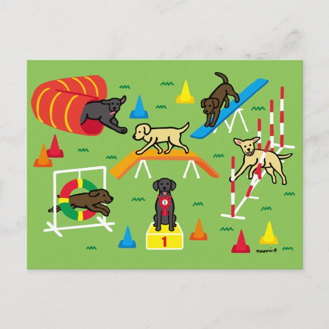 Carte Postale Caricature d'agilité de rétritrice du Labrador noi (Devant)