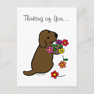 Carte Postale Caricature du panier à fleurs de chocolat Labrador