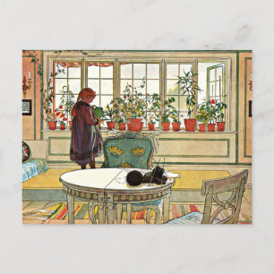 Carte Postale Carl Larsson - Fleurs sur le rebord de fenêtre
