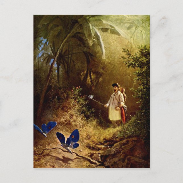 Carte Postale Carl Spitzweg - Le chasseur de papillons (Devant)
