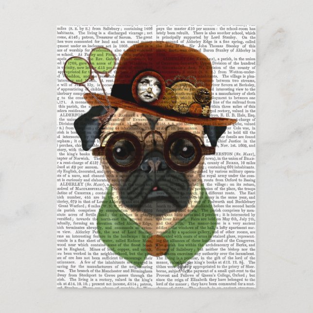 Carte Postale Carlin avec Casquette Steampunk Bowler (Devant)