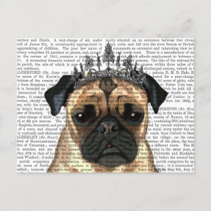 Carte Postale Carlin Avec Tiara