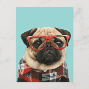 Carte Postale Carlin Chemise Plaid