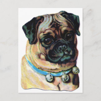 Carte Postale Carlin Chien Vintage
