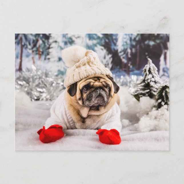Carte Postale Carlin de Noël Portant des gants et Casquette (Devant)