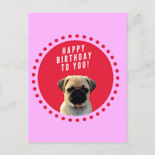 Carte Postale Carlin mignon Chien Chien Heureux Anniversaire Chi