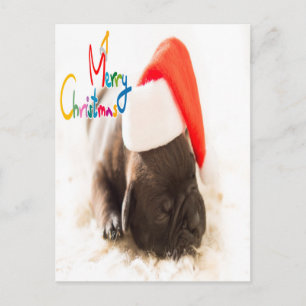 Carte Postale Carlin Noël
