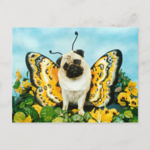 Carte postale carlin papillon