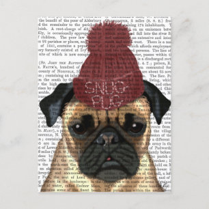 Carte Postale Carlin Snug