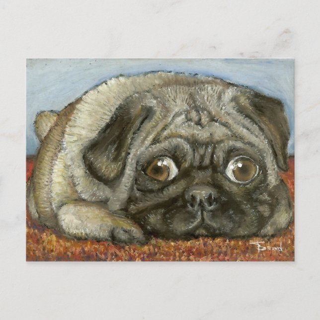 Carte Postale Carlin Snug (Devant)