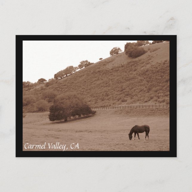 Carte postale Carmel Valley (Devant)