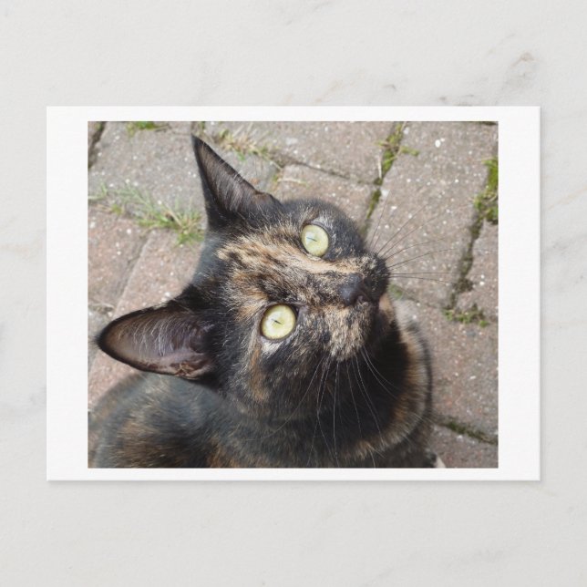 Carte Postale Carmen (Devant)