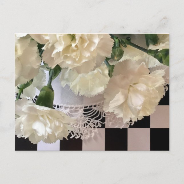 Carte postale Carnations blanches (Devant)