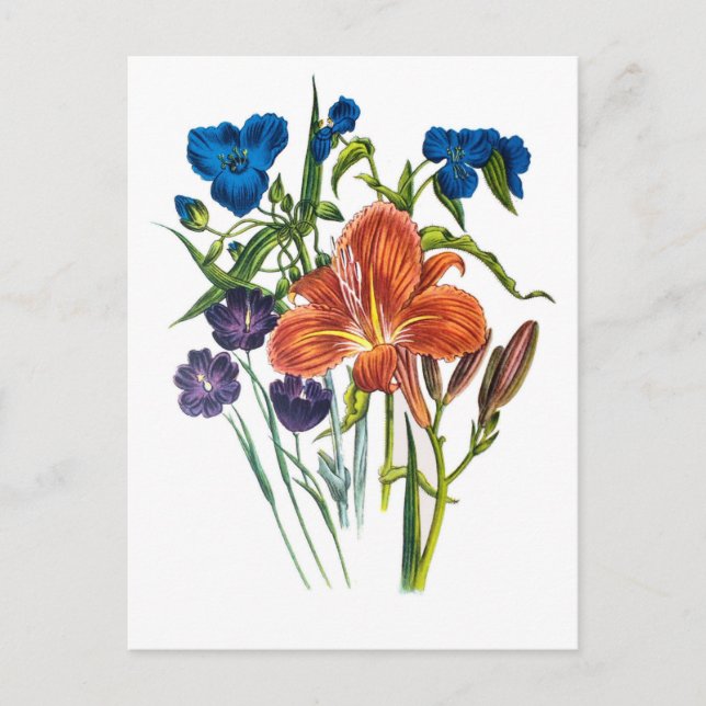 Carte Postale Carnaval des fleurs (Devant)
