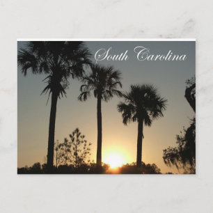 Carte Postale Carolina Sud Palmetto lever du soleil