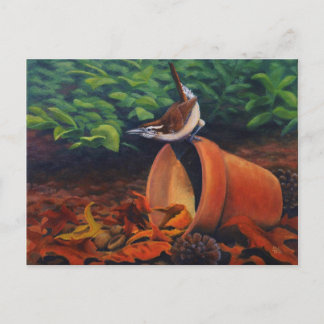 Carte Postale Carolina Wren
