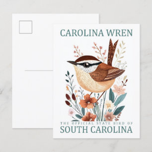 Carte Postale Carolina Wren Bird de Caroline du Sud Voyage
