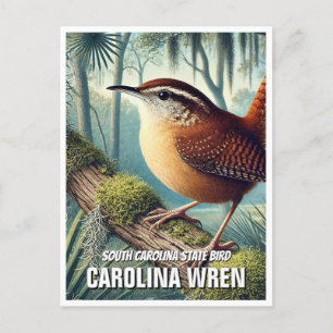 Carte Postale Caroline du Sud État Oiseaux Carolina Wren