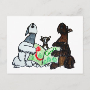Carte Postale Carottage