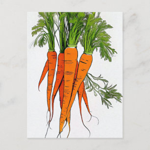 Carte Postale Carottes