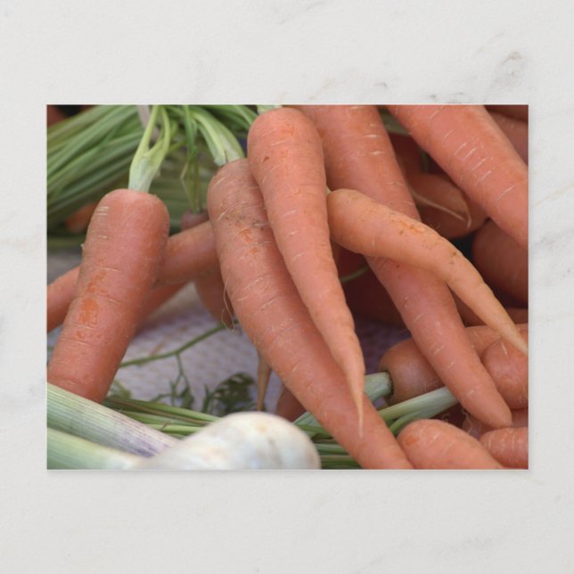 Carte Postale Carottes (Devant)