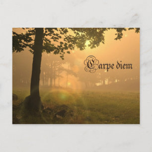 Carte postale Carpe