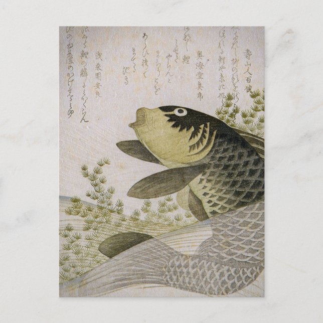Carte Postale Carpes Koï parmi les plantes du bassin Ryuryukyo S (Devant)