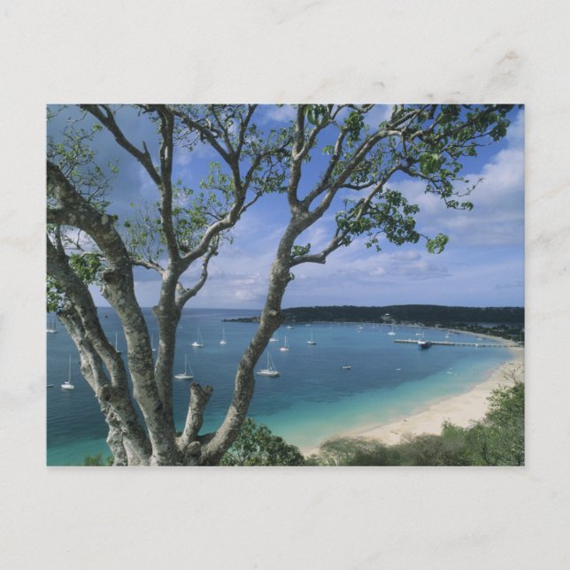 Carte Postale Carribean, Anguilla Island, Road Bay Harbour. (Devant)