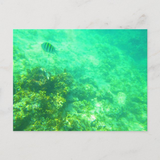 CARTE POSTALE CARRIÈRE CARRIÈRE 2 (Devant)