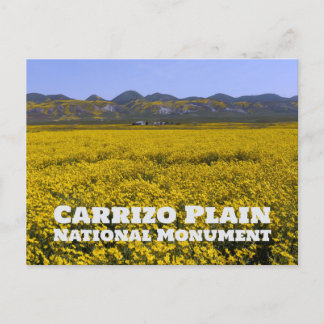 Carte Postale Carrizo Plain National Monument