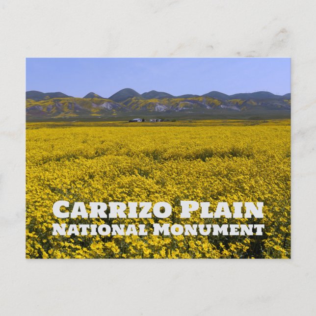 Carte Postale Carrizo Plain National Monument (Devant)